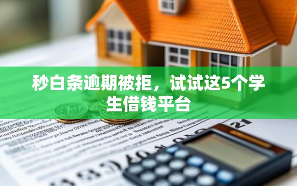秒白条逾期被拒，试试这5个学生借钱平台