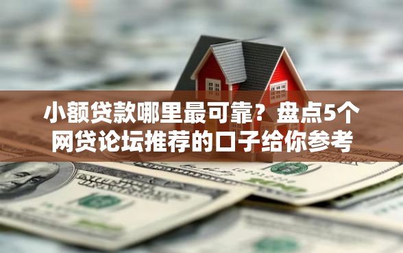 小额贷款哪里最可靠？盘点5个网贷论坛推荐的口子给你参考