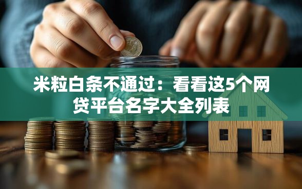 米粒白条不通过：看看这5个网贷平台名字大全列表