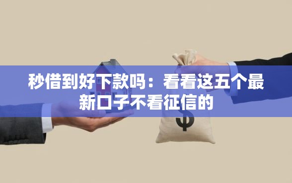 秒借到好下款吗：看看这五个最新口子不看征信的