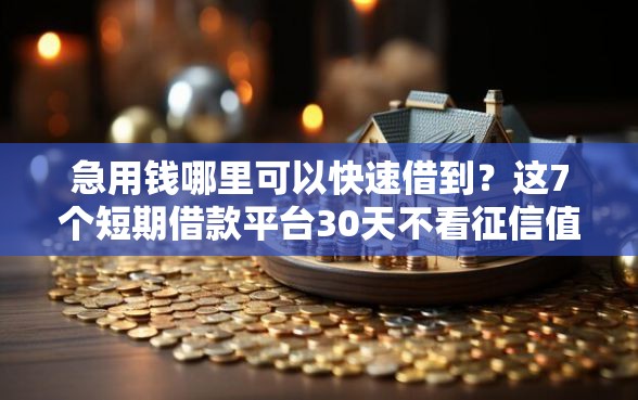 急用钱哪里可以快速借到？这7个短期借款平台30天不看征信值得一试