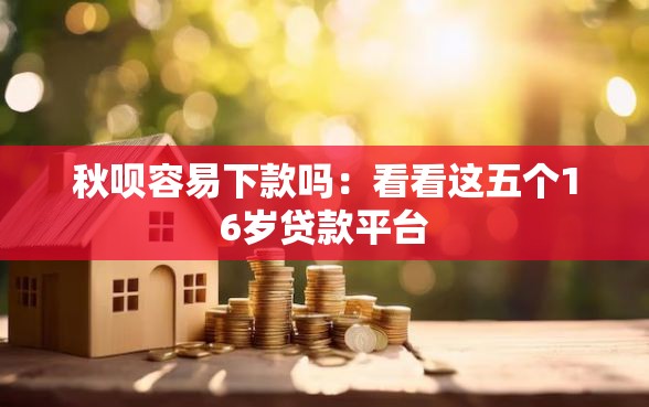 秋呗容易下款吗：看看这五个16岁贷款平台