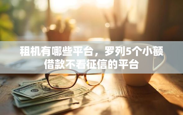 租机有哪些平台，罗列5个小额借款不看征信的平台