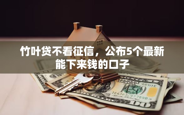 竹叶贷不看征信，公布5个最新能下来钱的口子