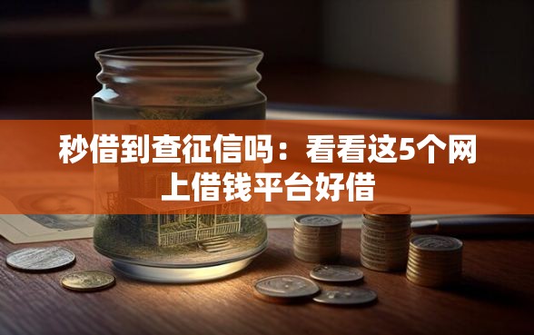 秒借到查征信吗：看看这5个网上借钱平台好借
