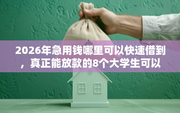 2026年急用钱哪里可以快速借到，真正能放款的8个大学生可以使用的口子推荐
