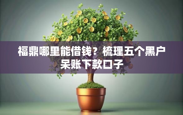 福鼎哪里能借钱？梳理五个黑户呆账下款口子