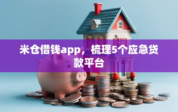 米仓借钱app，梳理5个应急贷款平台