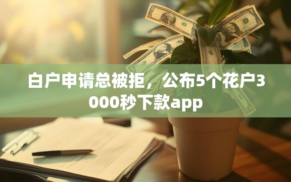 白户申请总被拒，公布5个花户3000秒下款app
