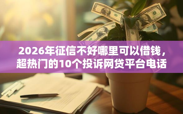 2026年征信不好哪里可以借钱，超热门的10个投诉网贷平台电话推荐
