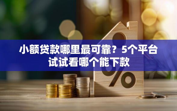 小额贷款哪里最可靠？5个平台试试看哪个能下款
