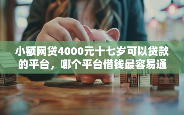小额网贷4000元十七岁可以贷款的平台，哪个平台借钱最容易通过的5个平台介绍