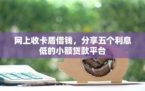 网上收卡盾借钱，分享五个利息低的小额贷款平台