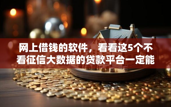 网上借钱的软件，看看这5个不看征信大数据的贷款平台一定能下款