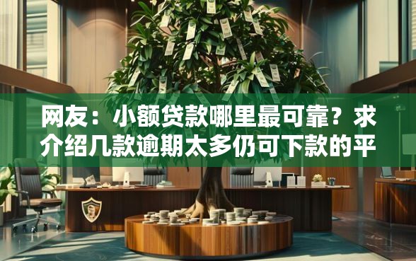 网友：小额贷款哪里最可靠？求介绍几款逾期太多仍可下款的平台