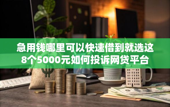 急用钱哪里可以快速借到就选这8个5000元如何投诉网贷平台