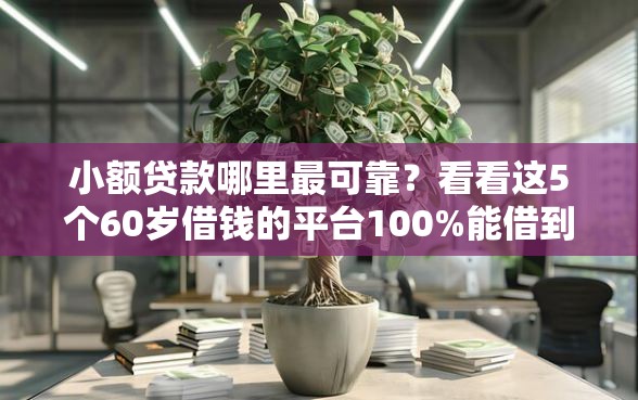 小额贷款哪里最可靠？看看这5个60岁借钱的平台100%能借到怎么样