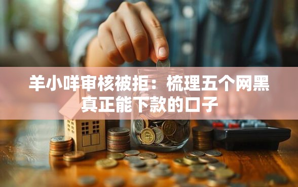 羊小咩审核被拒：梳理五个网黑真正能下款的口子