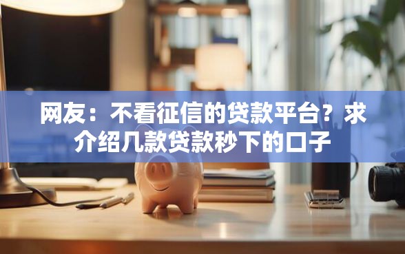 网友：不看征信的贷款平台？求介绍几款贷款秒下的口子