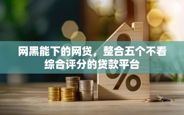 网黑能下的网贷，整合五个不看综合评分的贷款平台
