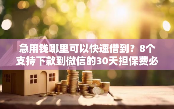 急用钱哪里可以快速借到？8个支持下款到微信的30天担保费必下口子2025