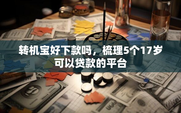 转机宝好下款吗，梳理5个17岁可以贷款的平台