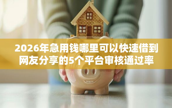 2026年急用钱哪里可以快速借到网友分享的5个平台审核通过率高我觉得不错！
