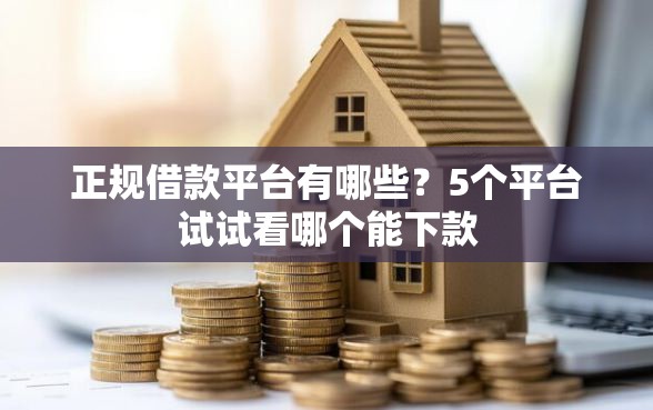 正规借款平台有哪些？5个平台试试看哪个能下款