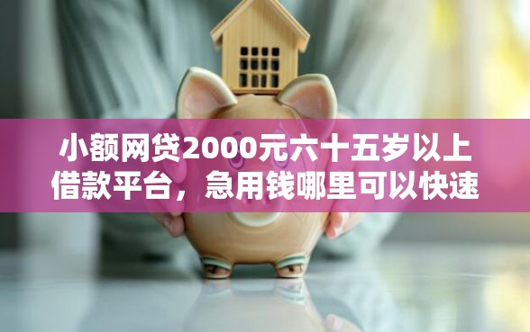 小额网贷2000元六十五岁以上借款平台,急用钱哪里可以快速借到的7个平台介绍 小额网贷2000元六十五岁以上借款平台,急用钱哪里可以快速借到的7个平台介绍
