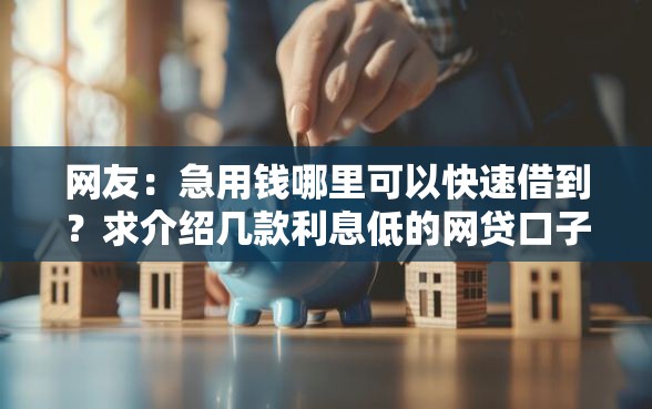网友：急用钱哪里可以快速借到？求介绍几款利息低的网贷口子