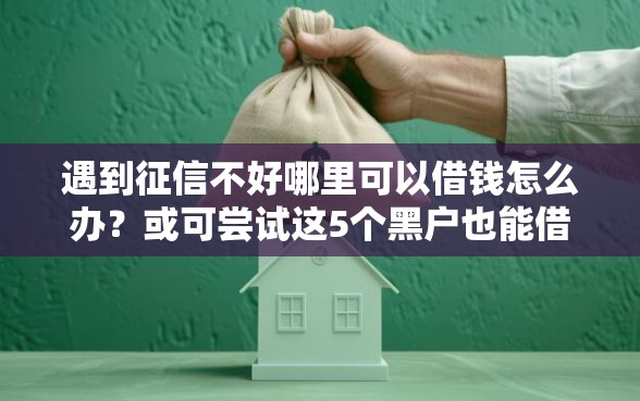 遇到征信不好哪里可以借钱怎么办？或可尝试这5个黑户也能借款的网贷平台