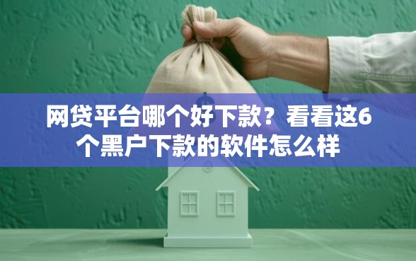 网贷平台哪个好下款？看看这6个黑户下款的软件怎么样