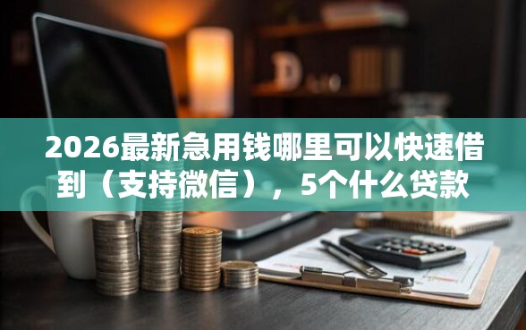 2026最新急用钱哪里可以快速借到（支持微信），5个什么贷款平台额度高无私分享