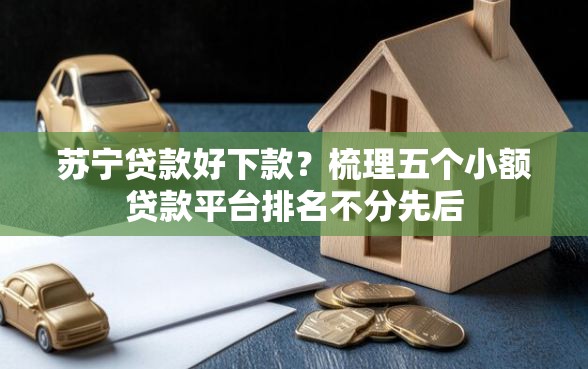 苏宁贷款好下款？梳理五个小额贷款平台排名不分先后