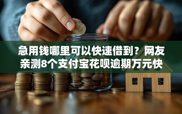 急用钱哪里可以快速借到？网友亲测8个支付宝花呗逾期万元快速贷款平台盘点