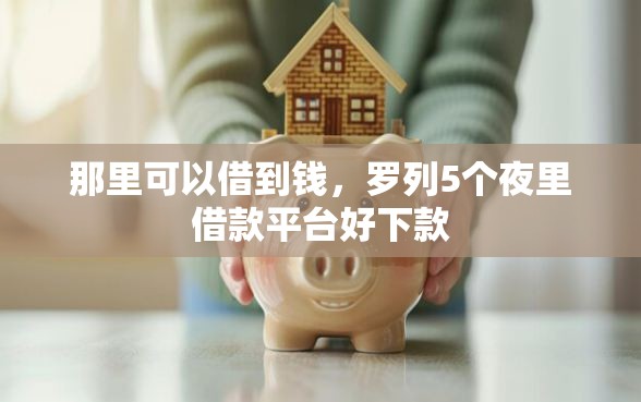 那里可以借到钱，罗列5个夜里借款平台好下款