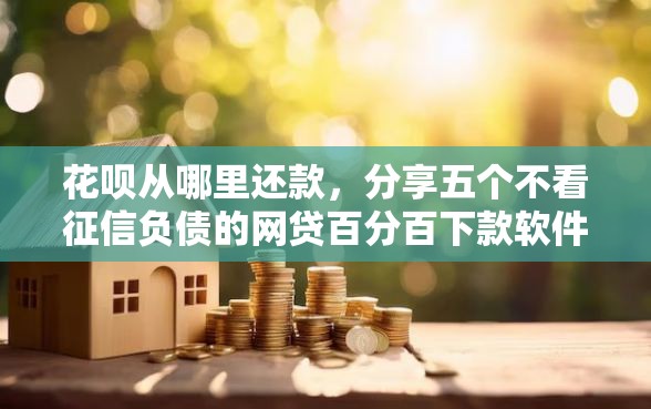 花呗从哪里还款，分享五个不看征信负债的网贷百分百下款软件