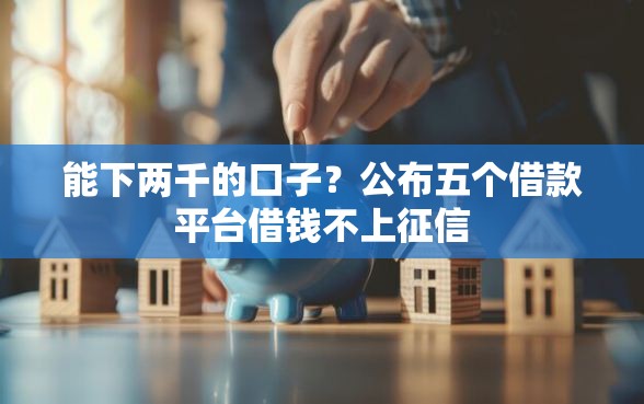 能下两千的口子？公布五个借款平台借钱不上征信