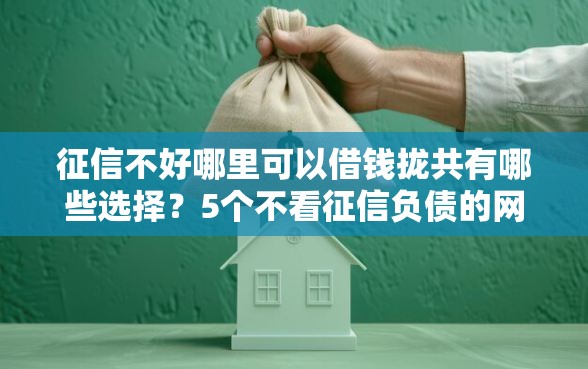 征信不好哪里可以借钱拢共有哪些选择？5个不看征信负债的网贷百分百下款口子详解