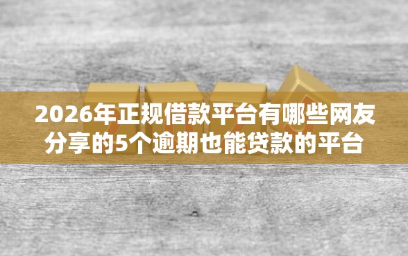 2026年正规借款平台有哪些网友分享的5个逾期也能贷款的平台我觉得不错！