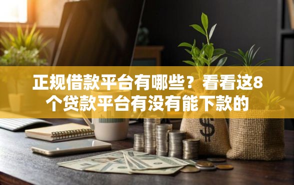 正规借款平台有哪些？看看这8个贷款平台有没有能下款的