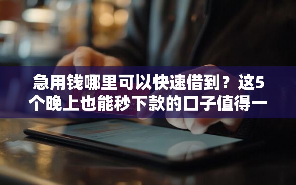 急用钱哪里可以快速借到？这5个晚上也能秒下款的口子值得一试