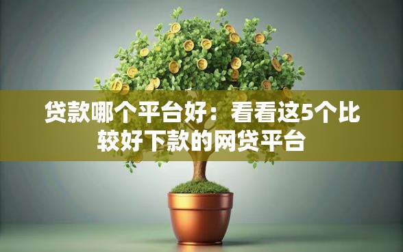 贷款哪个平台好：看看这5个比较好下款的网贷平台