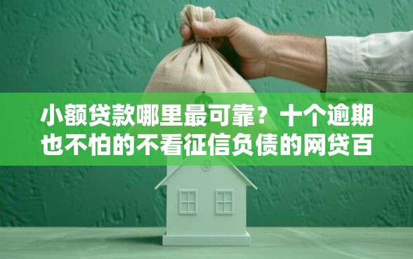 小额贷款哪里最可靠？十个逾期也不怕的不看征信负债的网贷百分百下款口子
