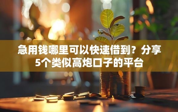 急用钱哪里可以快速借到？分享5个类似高炮口子的平台