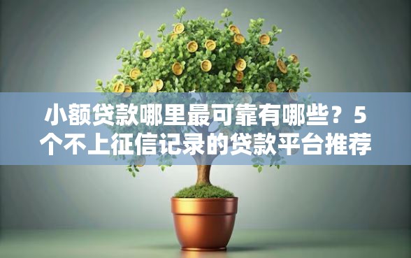 小额贷款哪里最可靠有哪些？5个不上征信记录的贷款平台推荐给你