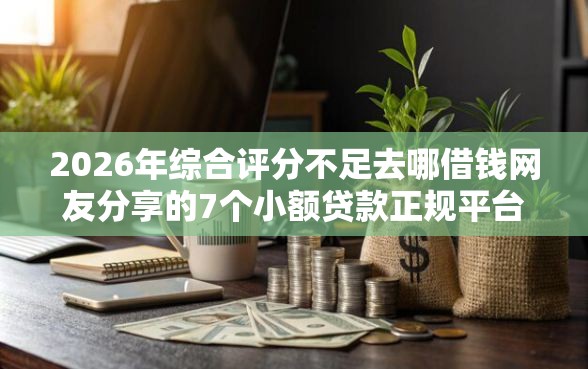 2026年综合评分不足去哪借钱网友分享的7个小额贷款正规平台我觉得不错！