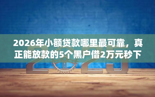 2026年小额贷款哪里最可靠，真正能放款的5个黑户借2万元秒下网贷口子app推荐