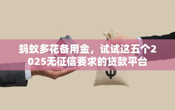 蚂蚁多花备用金，试试这五个2025无征信要求的贷款平台