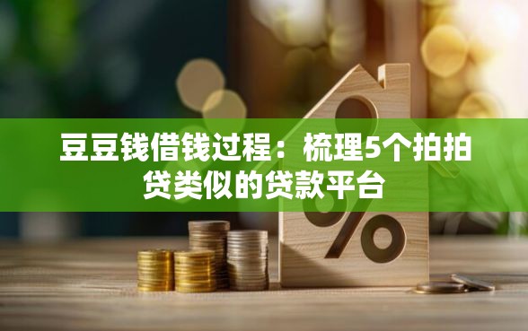 豆豆钱借钱过程：梳理5个拍拍贷类似的贷款平台